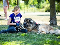 Adoptuj Warszawiaka  Wydarzenie promujące adopcję zwierząt. Organizator: Schronisko dla Bezdomnych Zwierząt "Na Paluchu". 18 sierpnia 2019, Park Raszyński w Raszynie. : park raszyński, adoptuj warszawiaka, na paluchu, schronisko dla zwierząt, centrum warszawy, raszyn
